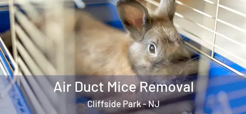 Air Duct Mice Removal Cliffside Park - NJ