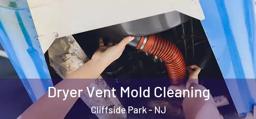Dryer Vent Mold Cleaning Cliffside Park - NJ