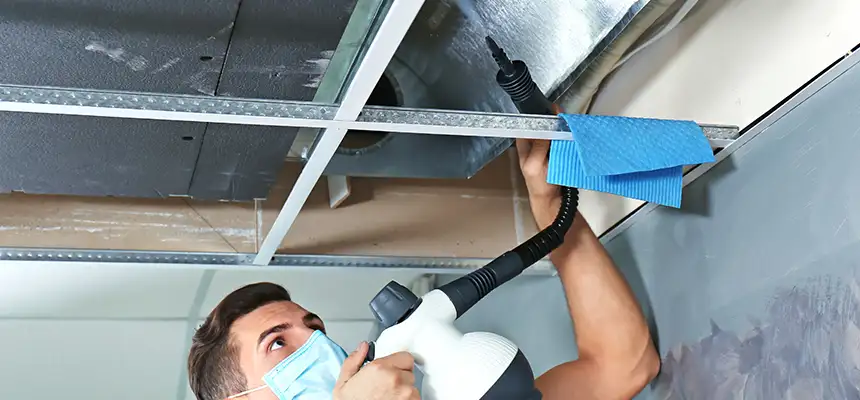 Our Air Duct Rodent Removal Services in Cliffside Park, NJ