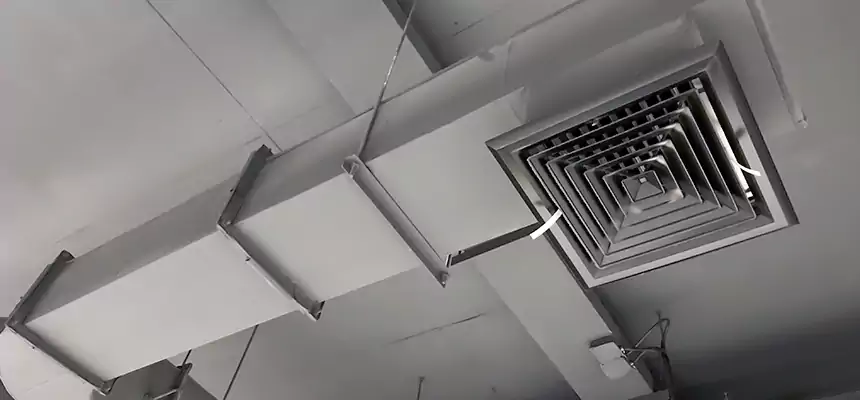 Our Pest Removal From Ducts Services in Cliffside Park, NJ