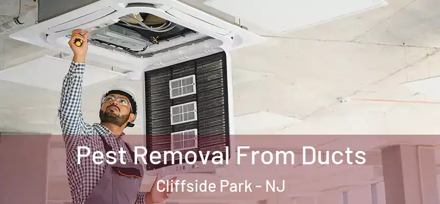 Pest Removal From Ducts Cliffside Park - NJ